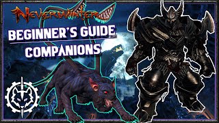 Neverwinter  Beginners Guide Companions [upl. by Gosnell]