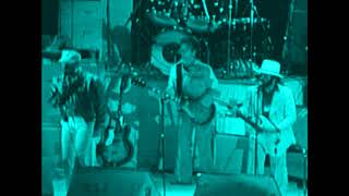 The Beach boys Live 1996 Kokomo [upl. by Phio919]