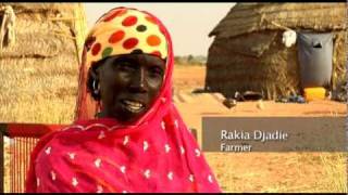 Niger Africa  Drought and Food Crisis [upl. by Enamrej78]