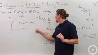 Charge Transfer  Electroscope [upl. by Ileek778]