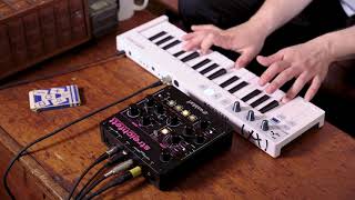 Waldorf Streichfett String Synthesizer Complete OverviewTutorial [upl. by Haraf]