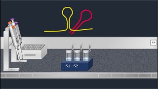 Northern Blot Method  Animated Video [upl. by Aime]