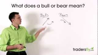 What Does a Bull and Bear Mean in the Stock Market [upl. by Stevena]