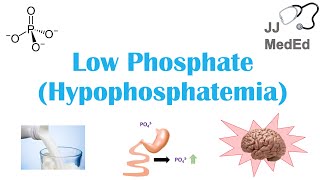 Low Phosphate Hypophosphatemia Causes Symptoms Treatment  amp Role of Phosphate Dietary Sources [upl. by Nnylrats]