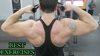 Top 3 Exercises to Build Rear Delts Rhomboids amp Middle Traps [upl. by Wedurn]