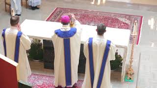 Full Mass Rite of Ordination to the Priesthood 2018 [upl. by Akirdnwahs494]