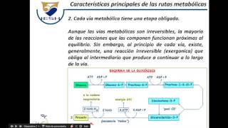 Cumbre de la M Chipinque  Monterrey [upl. by Hube]