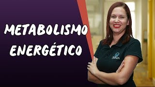 Metabolismo Energético  Brasil Escola [upl. by Bart]