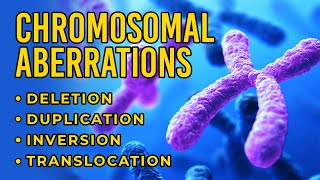 Chromosomal Aberrations  Deletion  Duplication  Inversion  Translocation [upl. by Whitelaw]