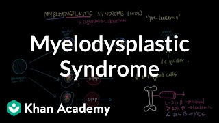 Myelodysplastic syndrome  Hematologic System Diseases  NCLEXRN  Khan Academy [upl. by Aicsile845]