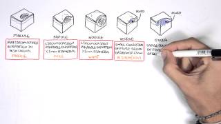 Dermatology  Lesion Terminology [upl. by Morehouse391]