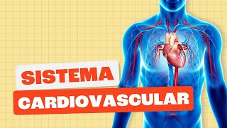 Sistema Cardiovascular  Toda Matéria [upl. by Alorac]