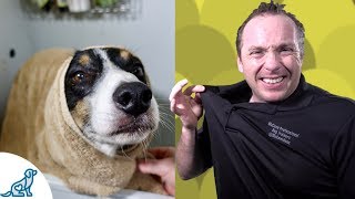 Simple Hacks To Bath Your Dog  Professional Dog Training Tips [upl. by Crandall654]