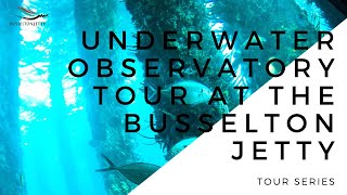 Busselton Jetty Tour Series Underwater Observatory Tour [upl. by Grunberg]