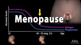 Menopause Perimenopause Symptoms and Management Animation [upl. by Enner718]