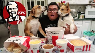 KFC Family Fill Up Meal Challenge [upl. by Geanine]