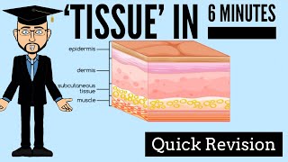 Tissue in 6 Minutes Quick Revision [upl. by Simone218]