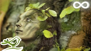 Dance of Life Relaxing Celtic Music for Meditation amp Sleep by Peder B Helland [upl. by Olifoet138]