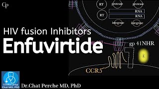 HIV therapy Enfuvirtide Mechanism of action 【USMLE Pharmacology】 [upl. by Enileda872]