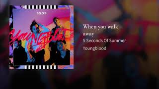 5 Seconds Of Summer When you walk away Target Audio [upl. by Ingra]