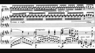 Liszt  Sonetto 104 del Petrarca S 161 No 5 André Laplante [upl. by Navonoj]