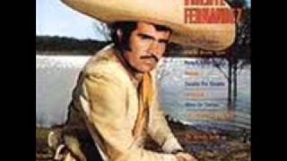 VICENTE FERNANDEZ PERDON MADRECITA [upl. by Adnorrehs]