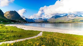 Uplifting Music  light positive happy music Gullrosøya  1 hour [upl. by Akinyt233]