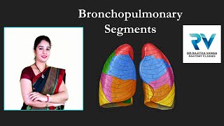 Bronchopulmonary Segments by Dr Rajitha Vanga [upl. by Sire42]