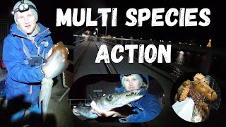 Fishing Busselton Jetty Western Australia Multi Species [upl. by Yenreit]