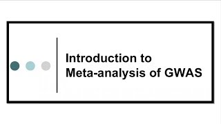 Intro to metaanalysis of GWASs [upl. by Dusen]