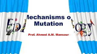 Mechanisms of Mutation [upl. by Gally]