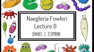 7 Naegleria Fowleri [upl. by Aceissej77]