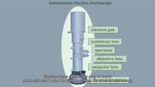 Electron microscope Parts and function [upl. by Atinwahs803]