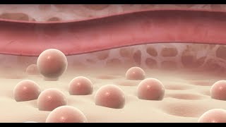 Why Doped Semiconductors Are Important [upl. by Annauqaj]