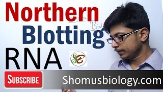 Northern blotting technique [upl. by Ruenhcs]