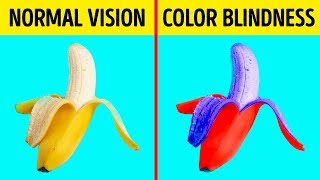 How Color Blind People See the World [upl. by Beyer]