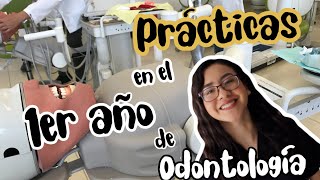 Prácticas en el primer año de odontología [upl. by Nylek471]