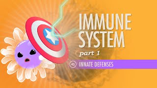 Immune System Part 1 Crash Course Anatomy amp Physiology 45 [upl. by Keithley]