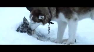 Sadest scene from Eight Below [upl. by Iramaj499]