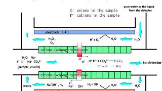 Ion chromatographyHow does the suppressor work [upl. by Tenej]