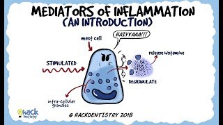 Mediators of Inflammation An Introduction [upl. by Reffinej]