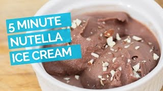 Nutella Ice Cream 5 Minute Recipe [upl. by Brindle648]