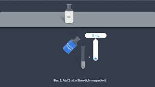 Glucose Benedicts test [upl. by Devonne]