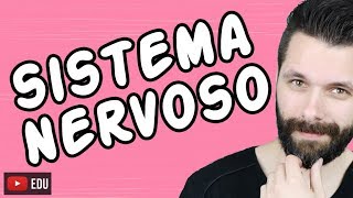 SISTEMA NERVOSO  FISIOLOGIA  Aula  Biologia com Samuel Cunha [upl. by Bergin]