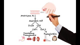 Pharmacology  NSAIDs amp PROSTAGLANDIN ANALOGS MADE EASY [upl. by Panthea]