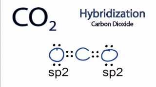 CO2 Hybridization Hybrid Orbitals for CO2 [upl. by Isidor725]