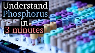 Hypophosphatemia vs Hyperphosphatemia  Phosphorus Imbalances [upl. by Klein126]