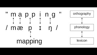 Orthographic mapping explainer [upl. by Ara304]