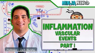 Immunology  Inflammation Vascular Events Part 1 [upl. by Eniahs]