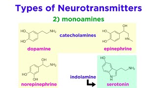 Neurotransmitters Type Structure and Function [upl. by Maleen]